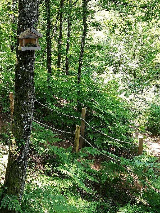 Ma Cabane En Aveyron Conques-en-Rouergue Exterior photo